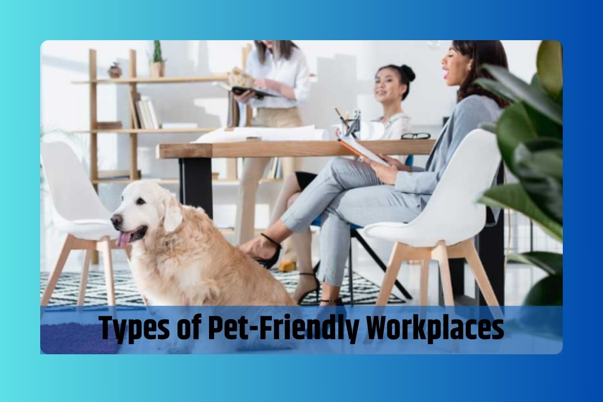 Types of Pet-Friendly Workplaces
